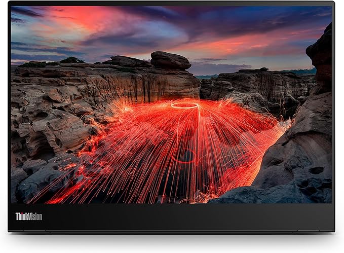 ThinkVision M14t Gen2 14-inch Monitor