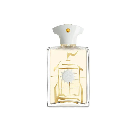 Amouage Beach Hut Eau de Parfum for Men 100ml